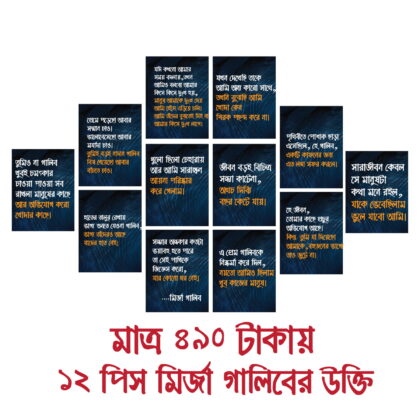 Mirza Ghalib Quotes Wall Decor – 12 Pieces Set (3mm PVC Board 6×8 inch)