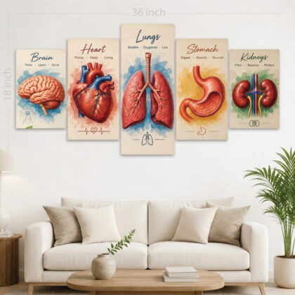 Medical & Human Anatomy 5-Piece Canvas Wall Art (36×18 Inches) for Doctor chamber , clinic, hospital, Diagnostic Cente